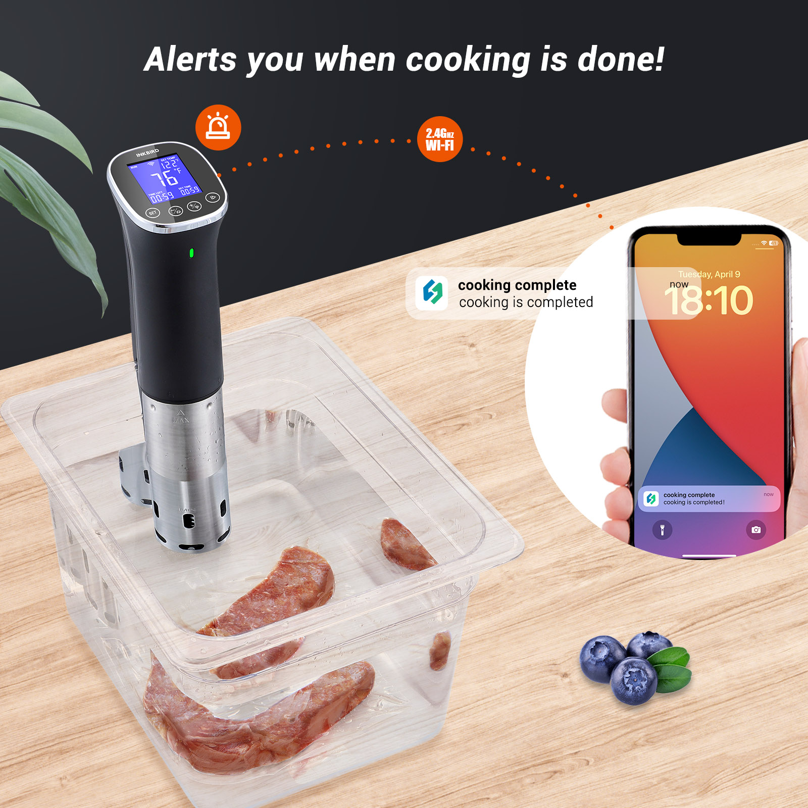 INKBIRD WiFi Vacuum Sous Vide  - Sous Vide Immersion Circulator Wifi review and price