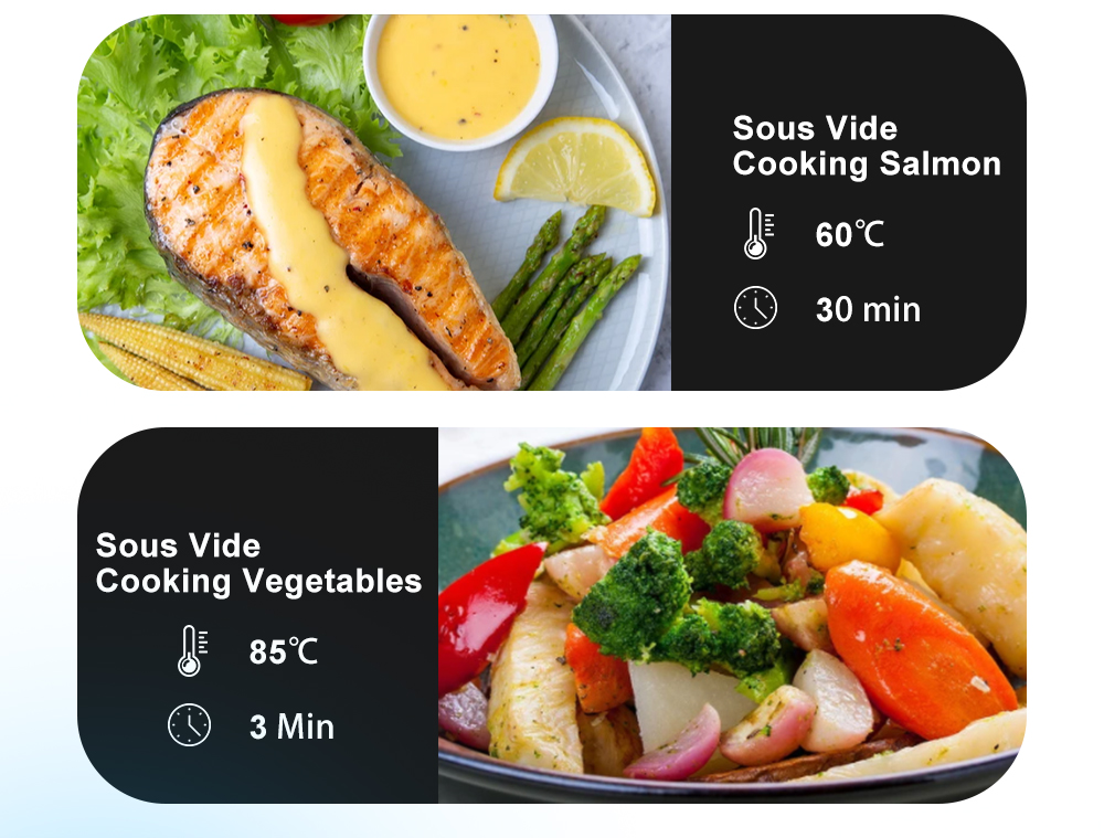 Digital Timer Immersion Circul - Sous Vide Immersion Circulator Wifi review and price