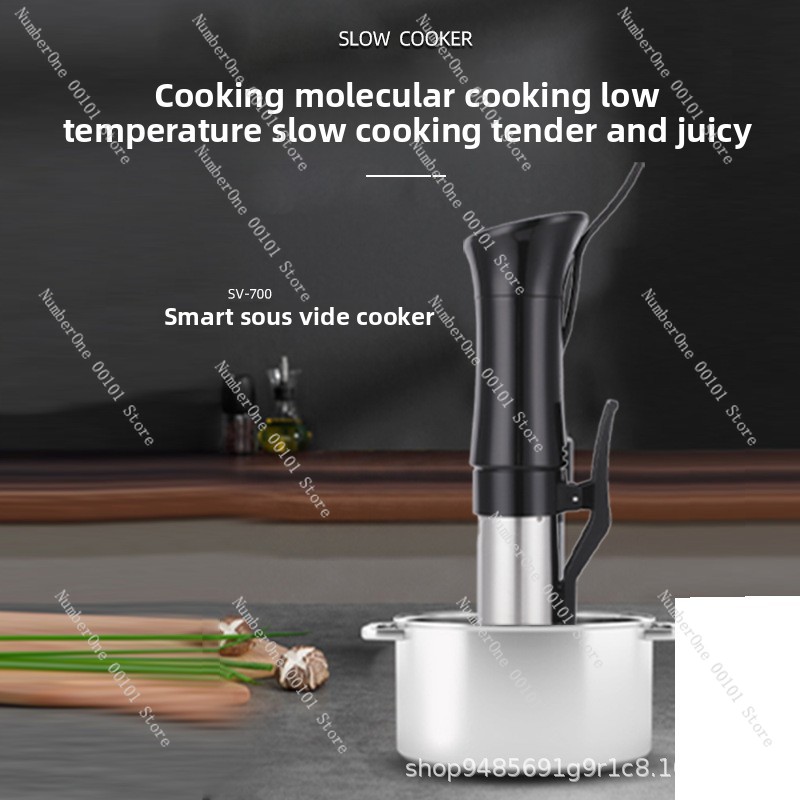 Low Temperature Sous Vide Cook - Sous Vide Precision Cooker 1100W review and price