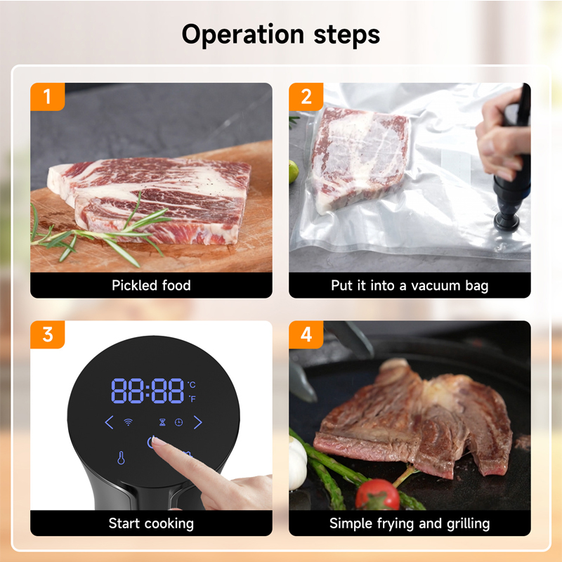 1100W Advanced Sous Vide Preci - Sous Vide Precision Cooker 1100W review and price