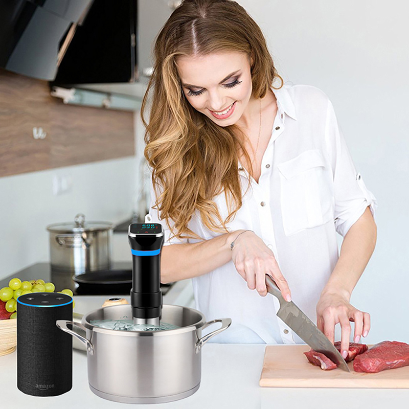 Sous Vide Precision Cooker 110 - Sous Vide Precision Cooker 1100W review and price