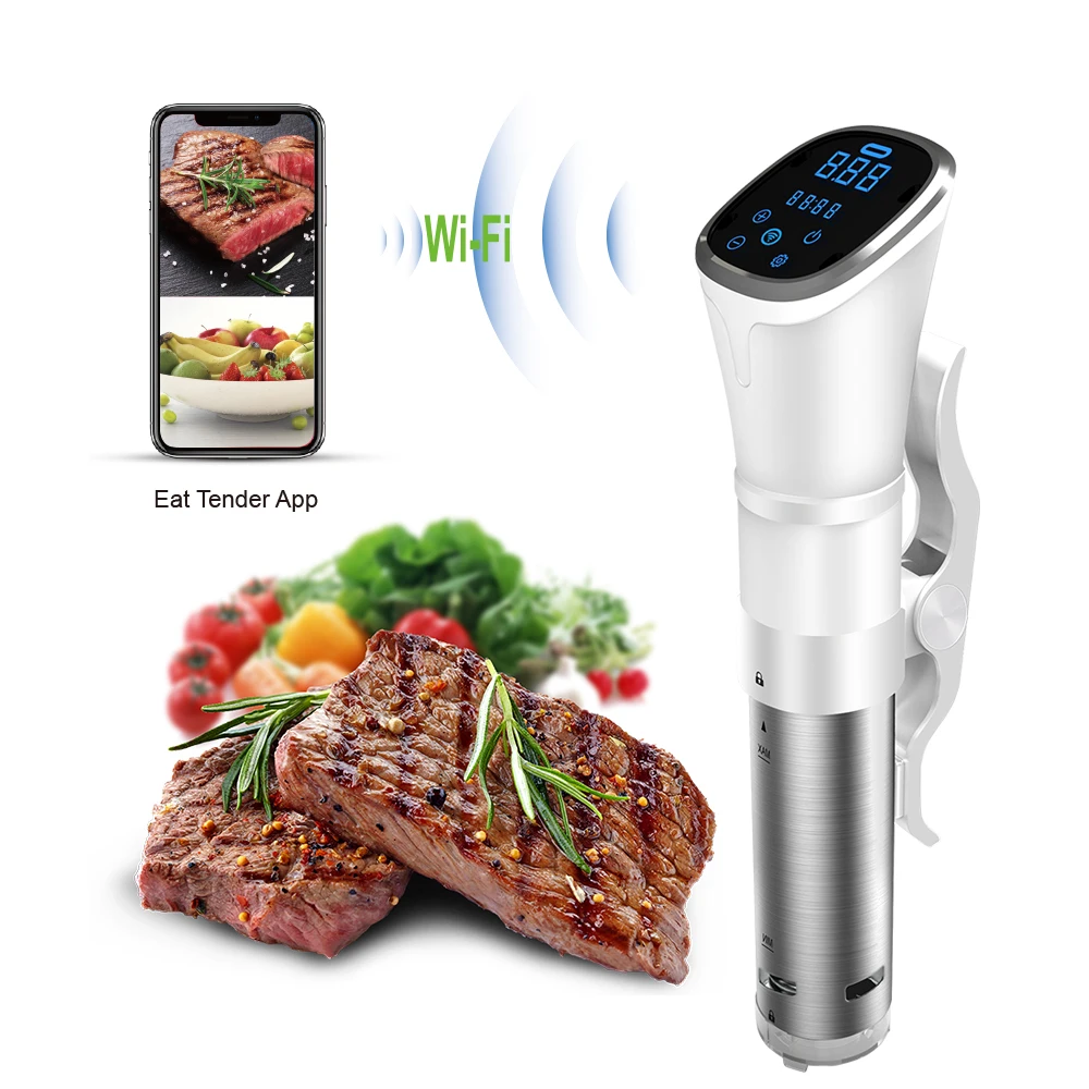 FirmHome Store121hot NEW IPX7  - Sous Vide Immersion Circulator Wifi review and price