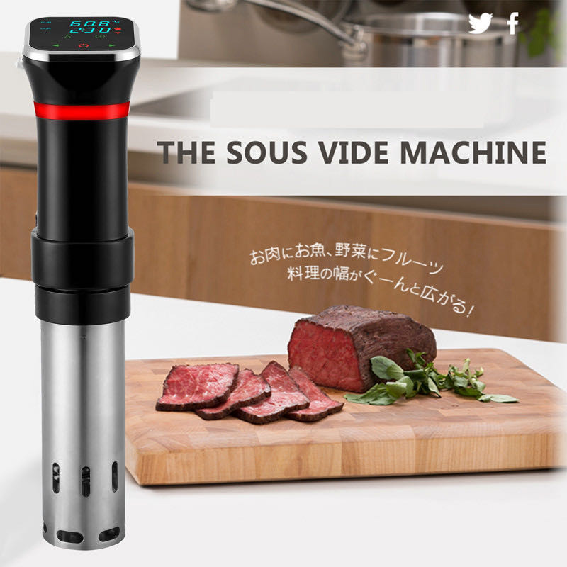 Portable 1100W Vacuum Food Sou - Sous Vide Precision Cooker 1100W review and price