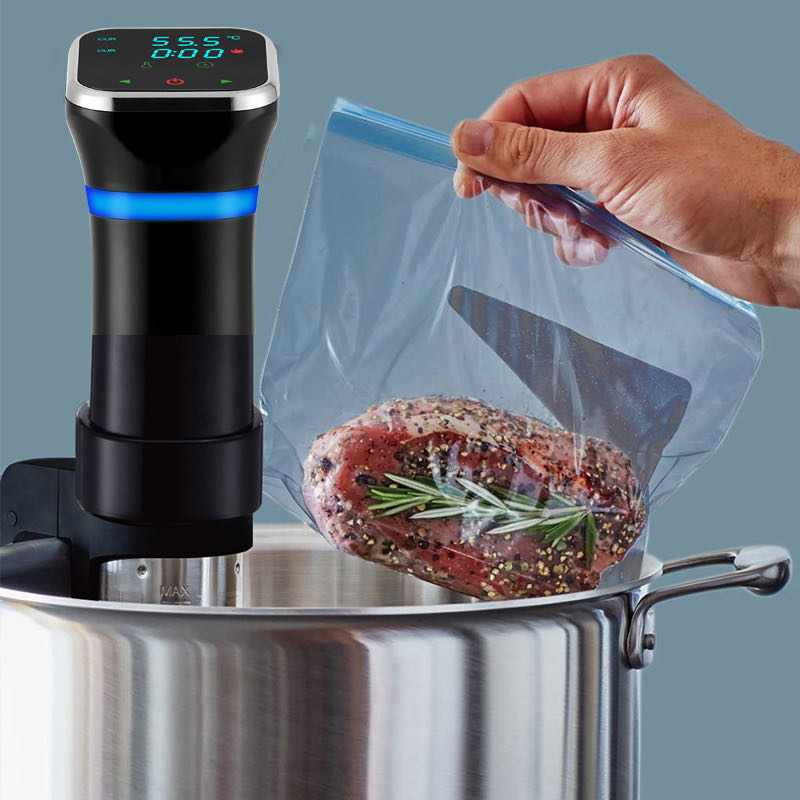 Portable 1100W Vacuum Food Sou - Sous Vide Precision Cooker 1100W review and price