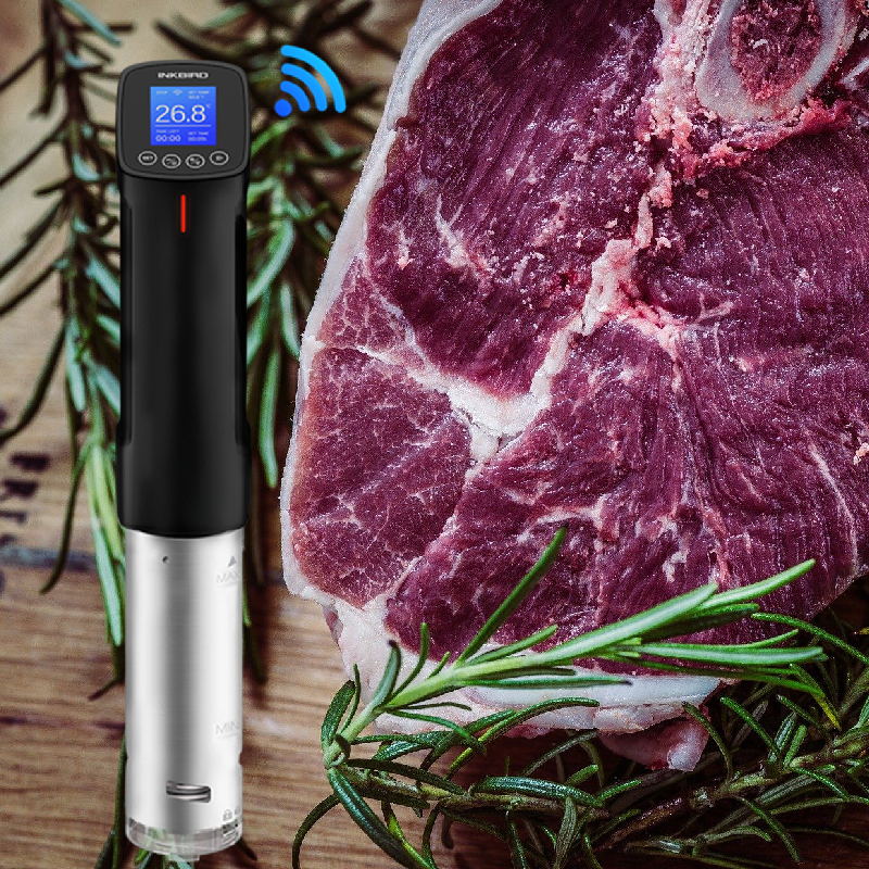 INKBIRD ISV-100W Wi-Fi Sous Vi - Sous Vide Immersion Circulator Wifi review and price